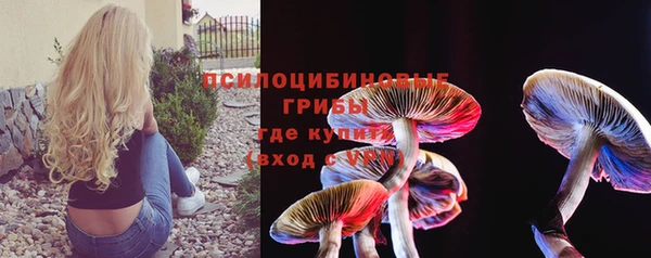 ПСИЛОЦИБИНОВЫЕ ГРИБЫ Беломорск