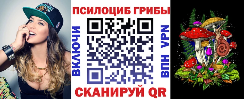 Псилоцибиновые грибы мицелий  кракен ТОР  Вязьма 