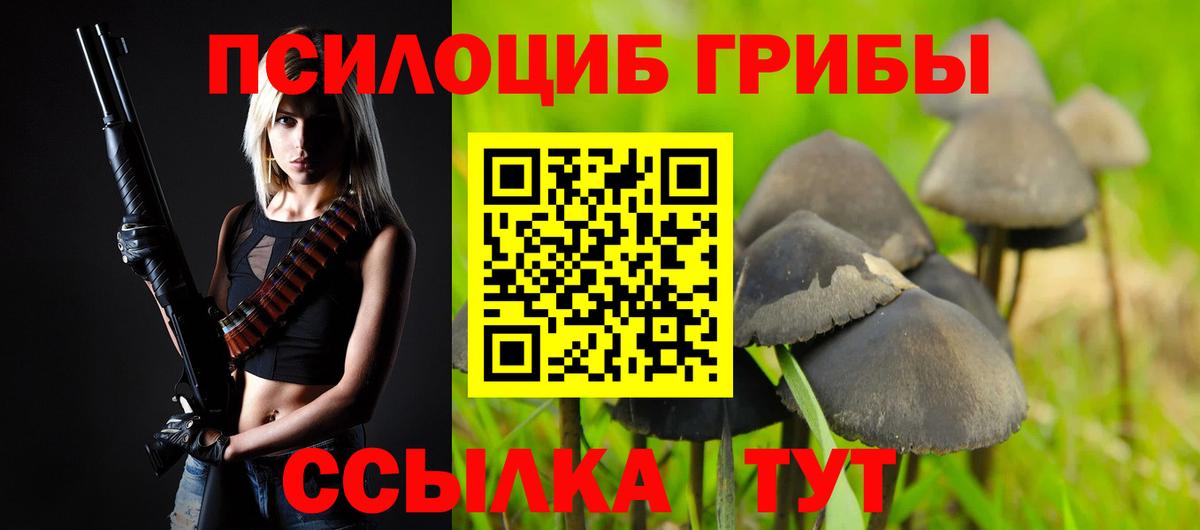 цена   Вход с VPN  Вязьма  Галлюциногенные грибы Psilocybe 