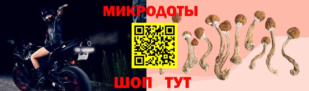 Галлюциногенные грибы прущие грибы Вязьма